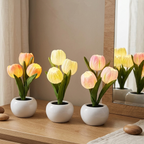 🌷Tulp Glow🌷