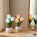 🌷Tulp Glow🌷