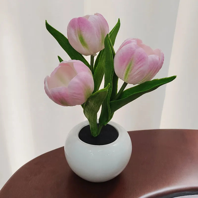 🌷Tulp Glow🌷