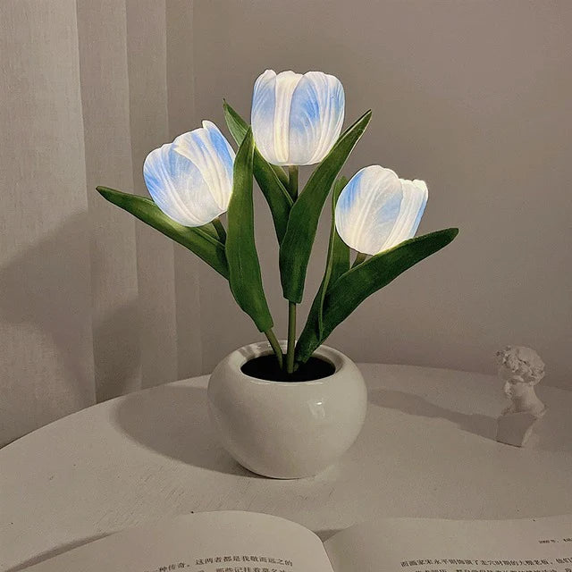 🌷Tulp Glow🌷