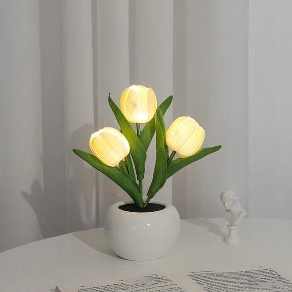 🌷Tulp Glow🌷