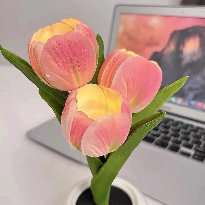 🌷Tulp Glow🌷