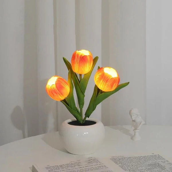 🌷Tulp Glow🌷