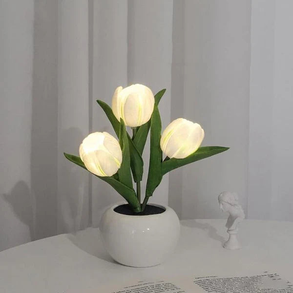 🌷Tulp Glow🌷
