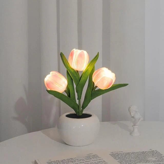 🌷Tulp Glow🌷
